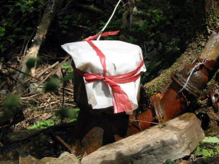 ���Ɨp���͔��d�@