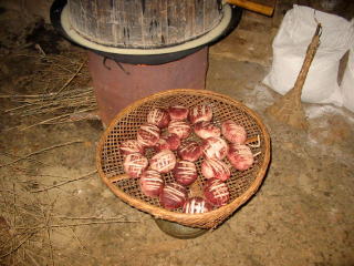 �����n���̉A����